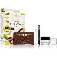 Delia Cosmetics Eyebrow Expert eyebrow tint shade 4.0 Brown 4 g