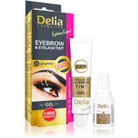 Delia Cosmetics Eyebrow Expert eyebrow and eyelash tint with activator shade 1.1. Graphite 2 x 15 ml