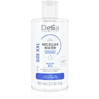 Delia Cosmetics You Define cleansing micellar water with moisturising effect 750 ml