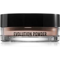 Danessa Myricks Beauty Evolution Powder translucent loose powder shade #2 11 g