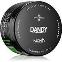 DANDY Water Pomade Anti-Gravity Effect hair pomade with strong hold 100 ml