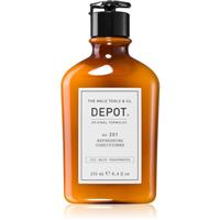 Depot 200 HAIR TREATMENTS NO. 201 REFRESHING CONDITIONER moisturising conditioner for shiny and soft hair 250 ml