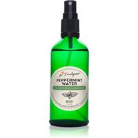 Dr. Feelgood BIO Peppermint soothing floral water with peppermint 100 ml