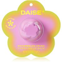DAISE Watermelon Crush lip balm for a mobile phone 7 g
