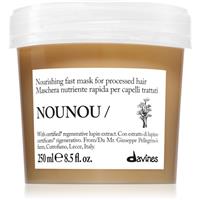 Davines NouNou Nourishing Mask nourishing mask for fragile hair 250 ml