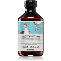 Davines Naturaltech Well-Being Shampoo shampoo for all hair types 250 ml
