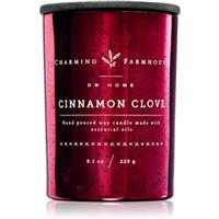 DW Home Charming Farmhouse Cinnamon Clove scented candle 230 g