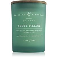 DW Home Charming Farmhouse Apple Melon scented candle 230 g