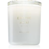 DW Home Ninety Six Exotic Aai scented candle 264 g