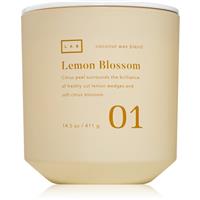 DW Home Lab Lemon Blossom scented candle 411 g