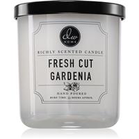 DW Home Signature Fresh Cut Gardenia scented candle 275 g