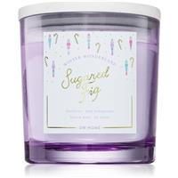 DW Home Winter Wonderland Sugared Fig scented candle 510 g