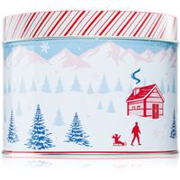 DW Home Scene & Stripes Peppermint Bark scented candle 833 g