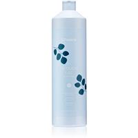 Echosline Frequent Conditioner conditioner for everyday use 1000 ml