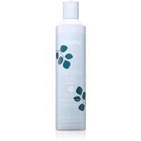 Echosline Frequent use Shampoo shampoo for everyday use 300 ml