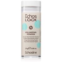 Echosline Volumizing powder mattifying volumising powder for hair 2.5 g
