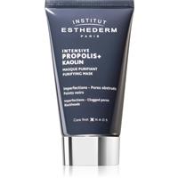 Institut Esthederm Intensive Propolis+ Purifying Mask cleansing mask for problem skin, acne 75 ml