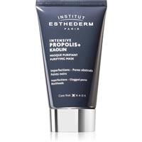 Institut Esthederm Intensive Propolis+ Purifying Mask cleansing mask for problem skin, acne 75 ml