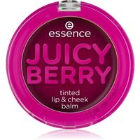 essence Juicy Berry Tinted liquid blusher and lip gloss 3 g