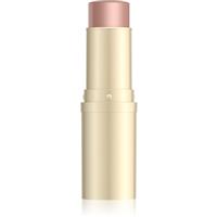 Eveline Cosmetics Wonder Show brightening stick shade 01 Starlight 8 g