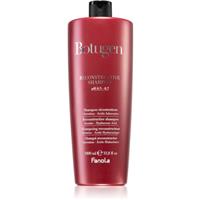 Fanola Botugen regenerating shampoo for dry and damaged hair 1000 ml