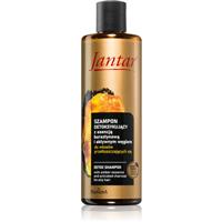 Farmona Jantar Amber Essence cleansing detoxifying shampoo for oily hair 300 ml