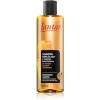 Farmona Jantar Amber Essence moisturising shampoo for dry hair 300 ml