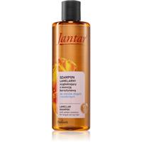 Farmona Jantar Amber Essence shampoo for long hair 300 ml