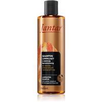 Farmona Jantar Amber Essence shampoo for damaged hair with ceramides 300 ml