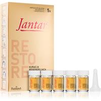 Farmona Jantar Amber Essence restorative treatment for damaged hair 5x5 ml