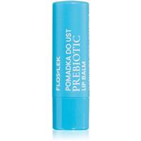 FlosLek Laboratorium Prebiotic Lip Care lip balm with regenerative effect 4 g