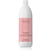 FarmaVita Amethyste Chroma nourishing restorative mask for colour-treated hair 1000 ml