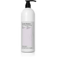 FarmaVita Backbar Gentle moisturising shampoo for gentle washing 1000 ml