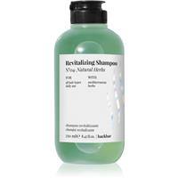 FarmaVita Backbar Revitalizing moisturising and revitalising shampoo 250 ml