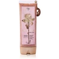 feito brasil Cocais body scrub 200 g