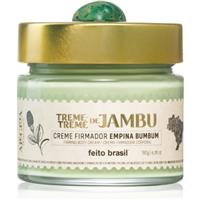 feito brasil Alegria firming cream for the body 180 g