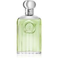 Giorgio Beverly Hills Giorgio for Men eau de toilette for men 118 ml