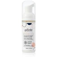 Galline SKIN CARE Foaming Facial Cleanser gentle cleansing foam for the face 50 ml