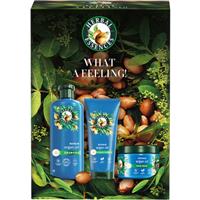 Herbal Essences Argan Oil Repair Gift Set gift set for damaged hair