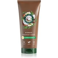 Herbal Essences Coconut Scent Hydrate conditioner with nourishing and moisturising effect 250 ml
