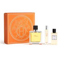 HERMS Terre dHerms Set gift set for men