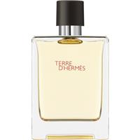 HERMS Terre dHerms eau de toilette for men 100 ml