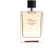 HERMS Terre dHerms Eau de Parfum Intense intense Eau de Parfum for men 100 ml
