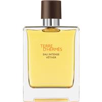 HERMS Terre dHerms Eau Intense Vtiver eau de parfum for men 100 ml