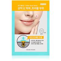 Holika Holika