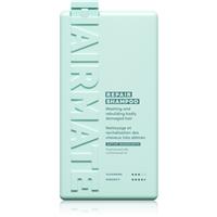 HAIRMATE Repair regenerating shampoo for severely damaged and brittle hair 250 ml