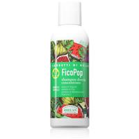 Helan I SORBETTI DI HELAN FicoPop Concentrated Shower Shampoo 2-in-1 shower gel and shampoo 150 ml