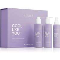 ICONIQUE Professional COOL LIKE YOU Perfect Blonde & Silver Violet Set set neutralising yellow tones
