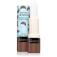 IDC Institute Skin Food lip balm shade Cocunat 3.5 g