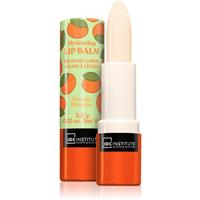 IDC Institute Skin Food lip balm shade Mango 3.5 g